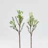 PLUMBAGO PICK 27cm